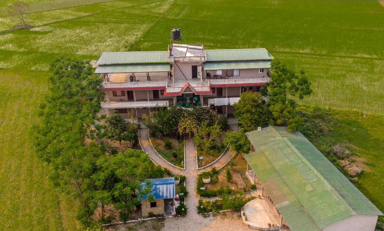 Hotel Tree Tops Sauraha Zewnętrze zdjęcie