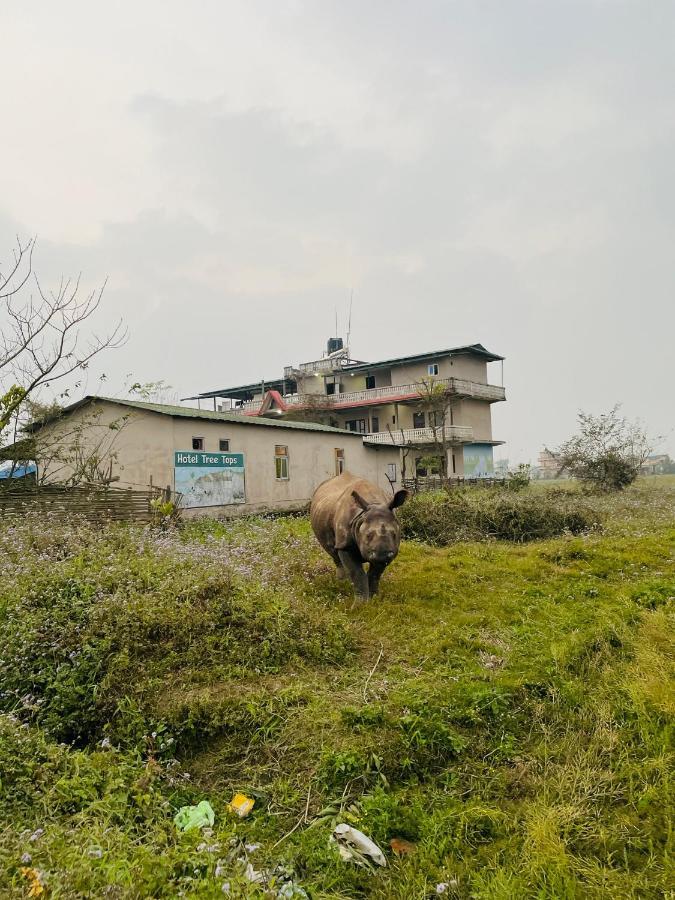 Hotel Tree Tops Sauraha Zewnętrze zdjęcie