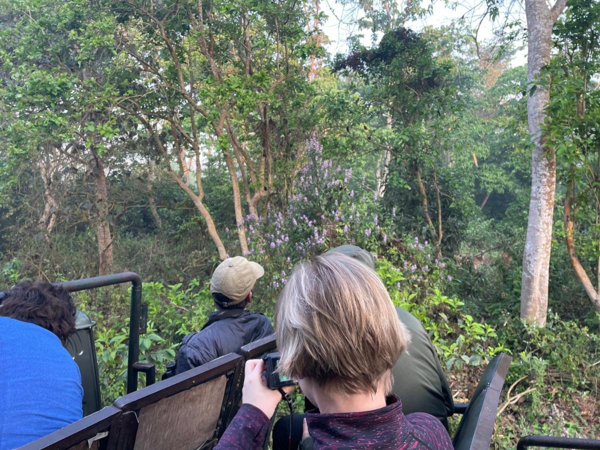 Hotel Tree Tops Sauraha Zewnętrze zdjęcie