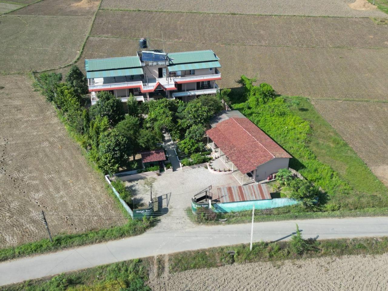 Hotel Tree Tops Sauraha Zewnętrze zdjęcie