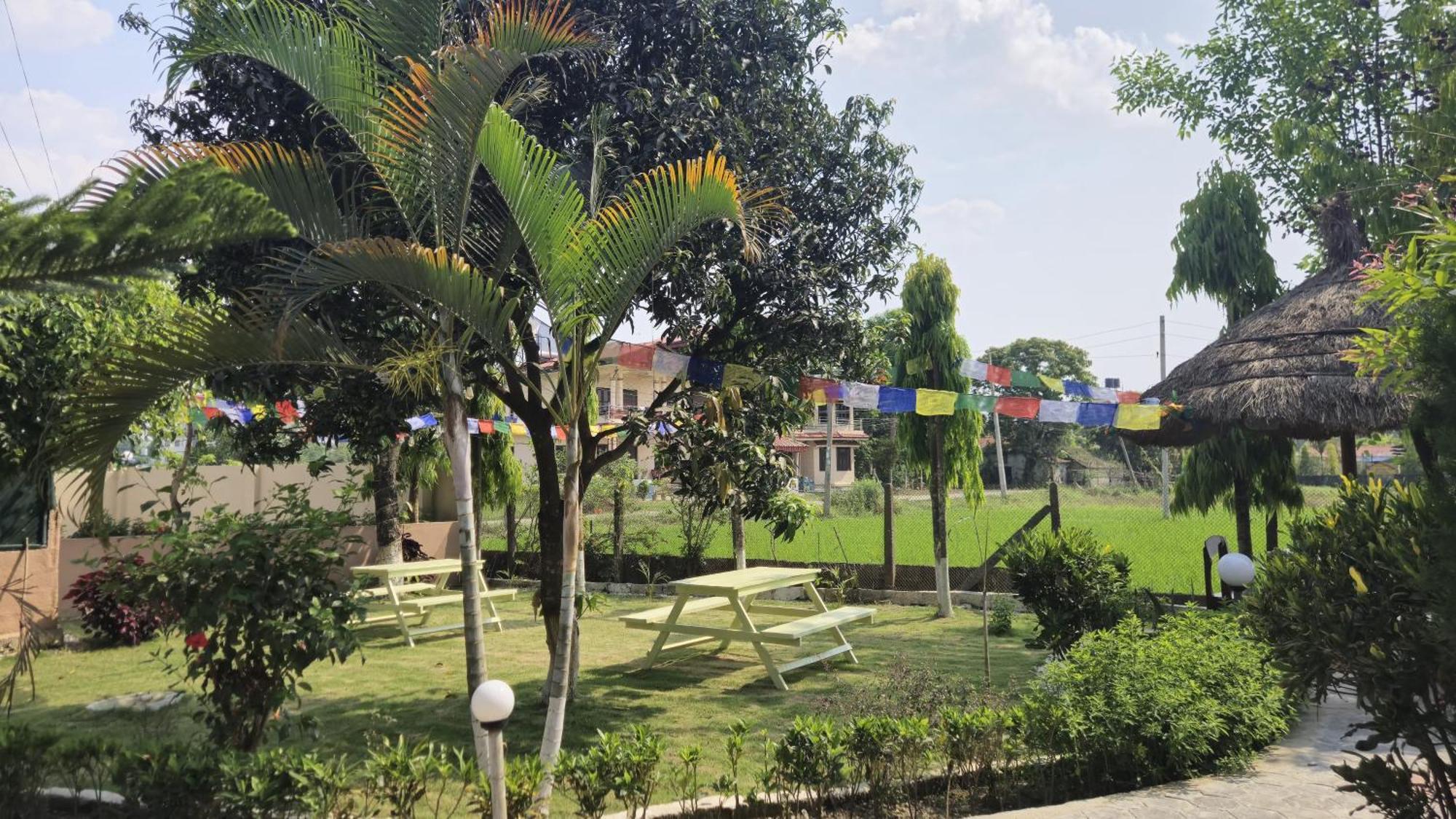 Hotel Tree Tops Sauraha Zewnętrze zdjęcie