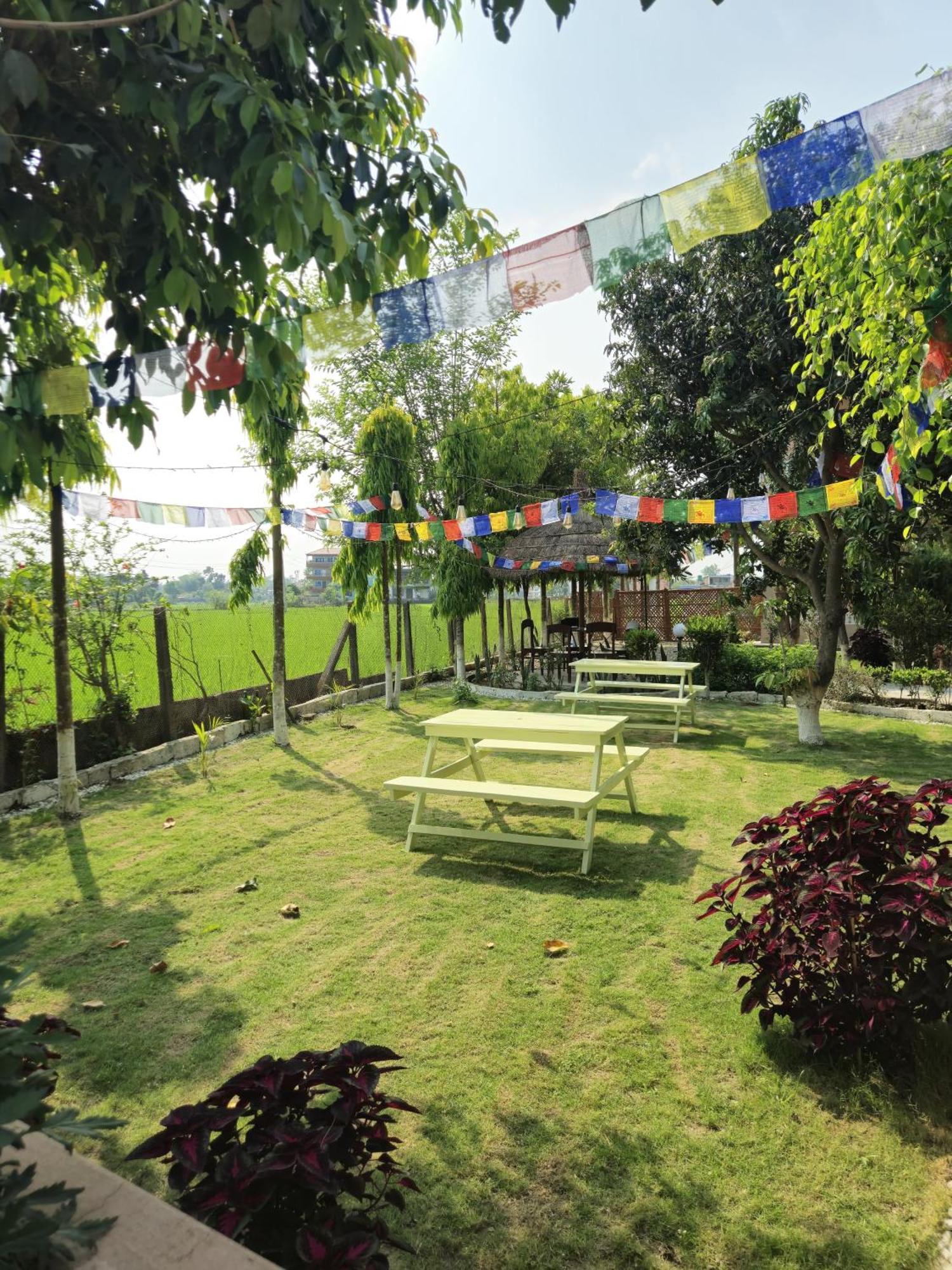 Hotel Tree Tops Sauraha Zewnętrze zdjęcie