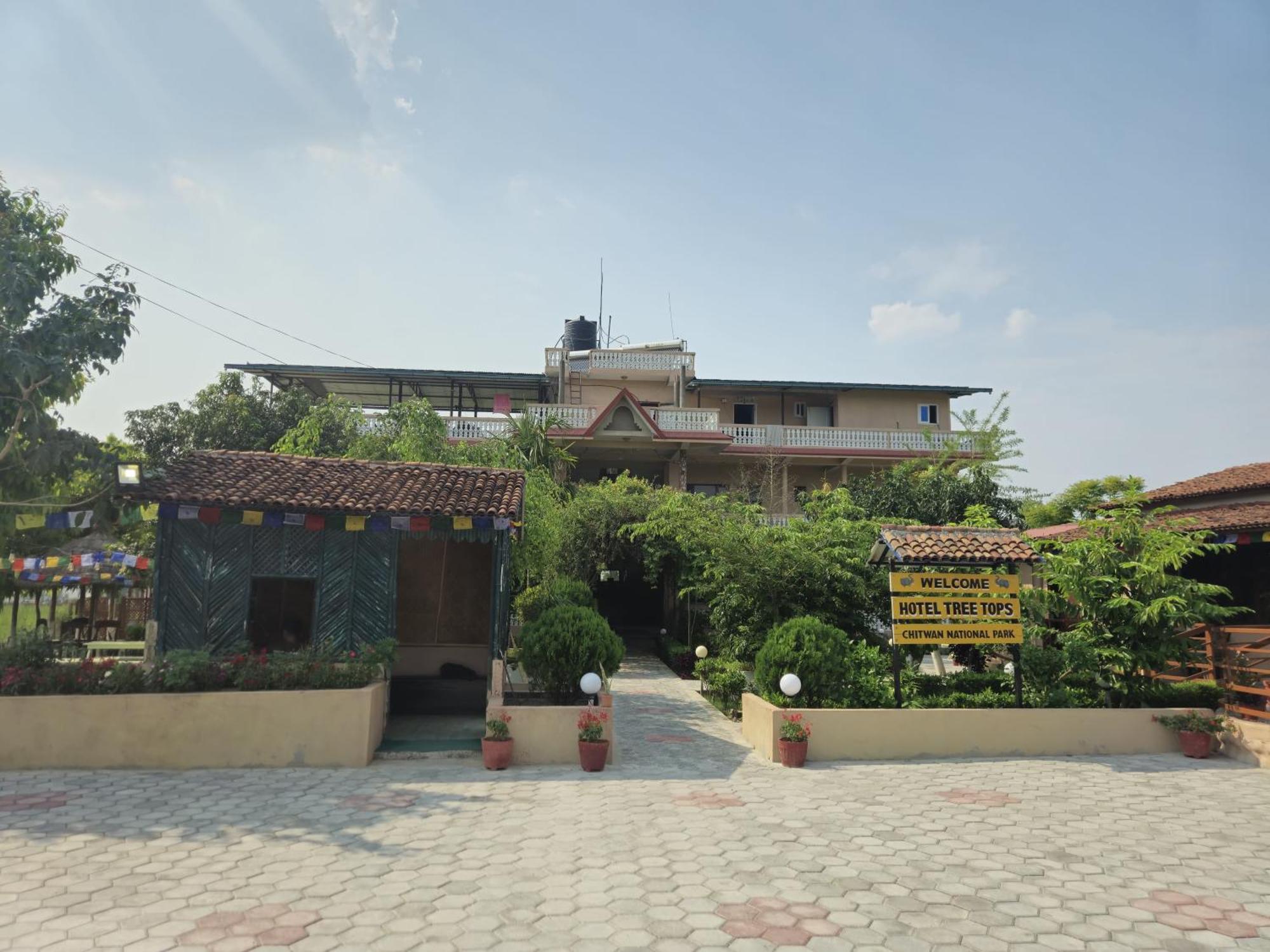 Hotel Tree Tops Sauraha Zewnętrze zdjęcie